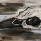 Raven Skull Study Original Oil Painting