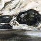 Raven Skull Study Original Oil Painting
